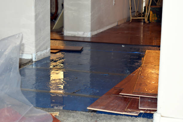 Professional Water Damage Repair technician working in Newton Center, MA